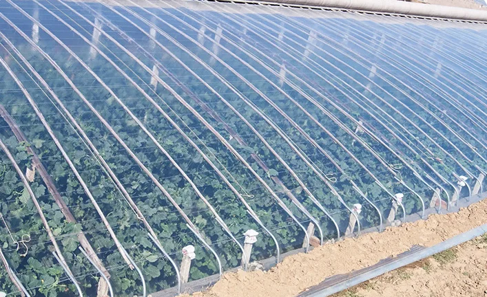 China High Quality Greenhouse Plastic Woven Poly Greenhouse Plastic and Transparent Greenhouse Plastic for Vegetable Garden