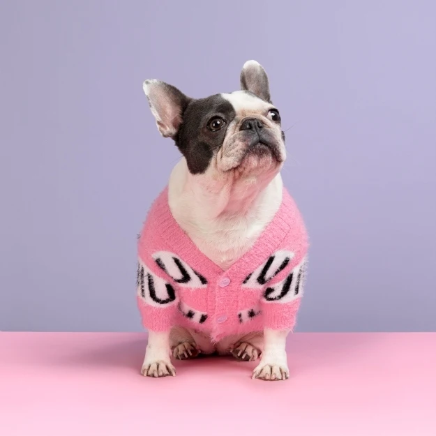 Luxury Designer Classic Brand Classic Luxury Design Pink Dog Winter Brand Sweater Cardigan
