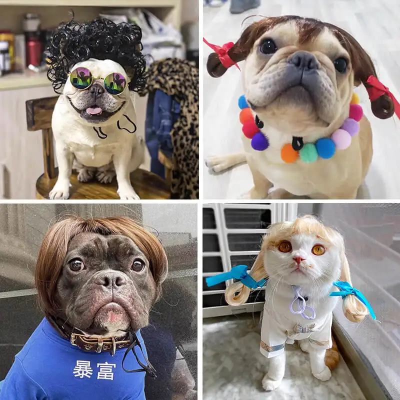 Factory wholesale Pet Wigs Cosplay Props Cos Funny Cross-dressing Head Accessories Dogs Cats Hair Hat