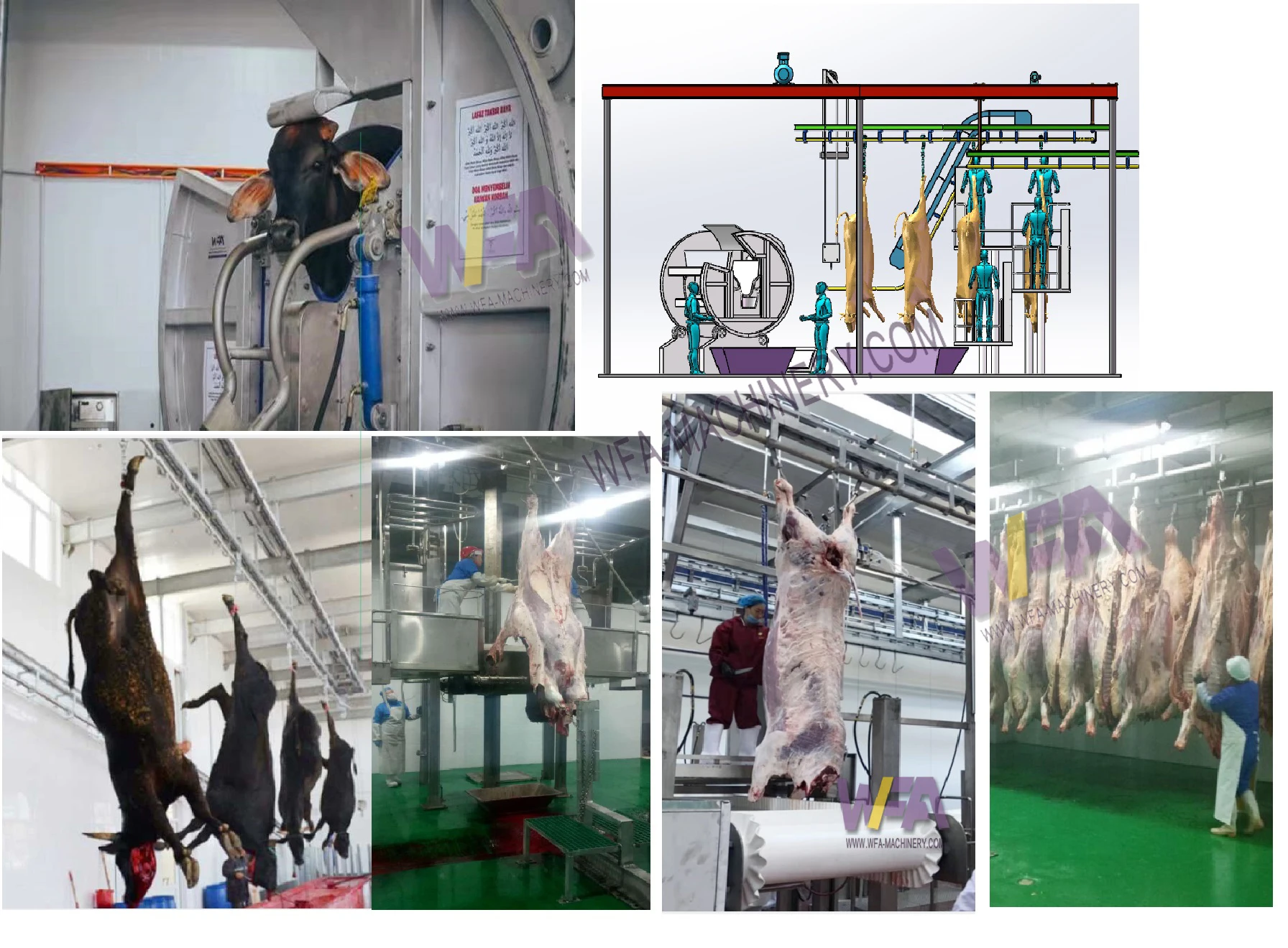 High Quality Cattle Bovine Abattoir Meat Hanging Hooks For Cow Slaughter Slaughtering Equipment Price