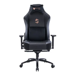 Free Sample Back Support Gaming Chair Racing Office Chair PC Computer Gamer Chair