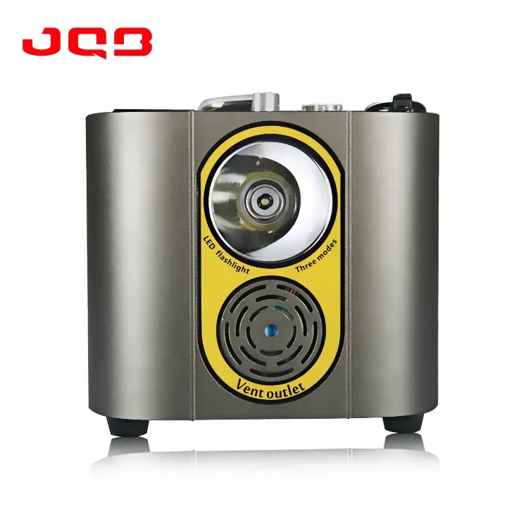 220V/110V portable pure sine wave generator uninterrupted power supply (ups)