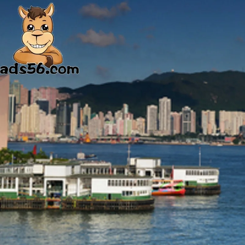 Shipping agents to South Africa Belarus Russia with quick and safe service  door to door shipment ddp service Shippingwhatsap=