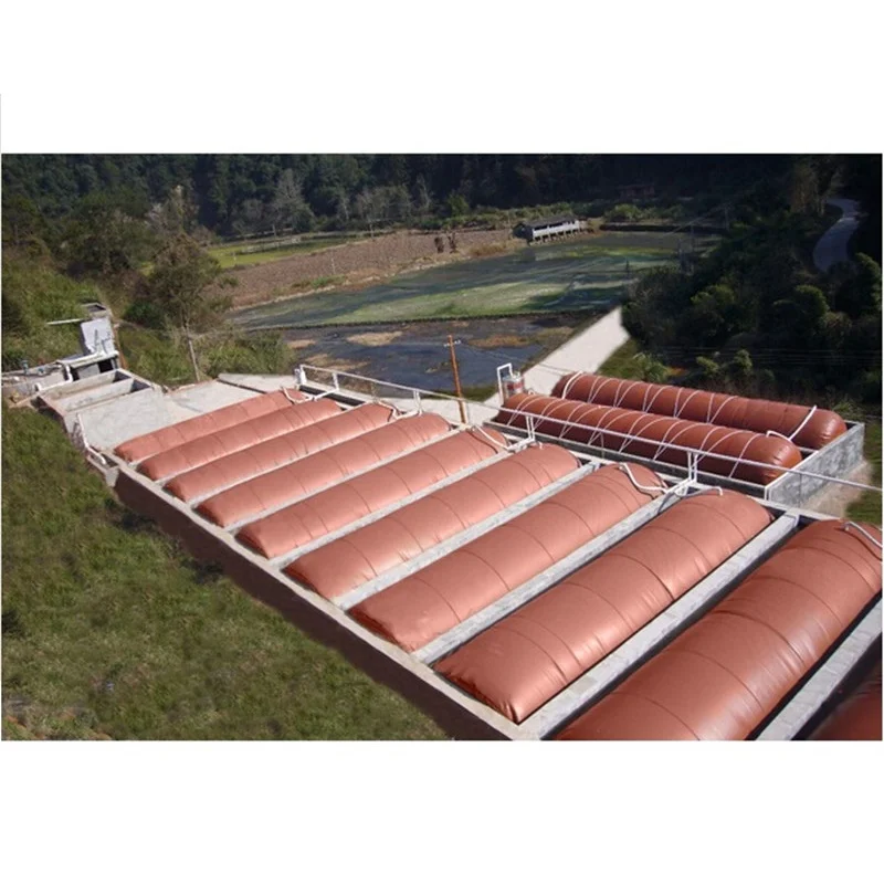 biogas plant for electricity biogas storage balloon bag equipment system bio digester for pig cow farm biogas conversion kit