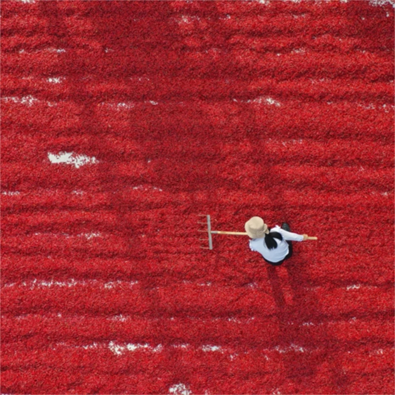 Wholesale Dried Herb Granule Chili Natural AD Raw Hot Spicy Chili Sauce Sichuan Red Pepper Seeds Fd Chili Devil Pepper