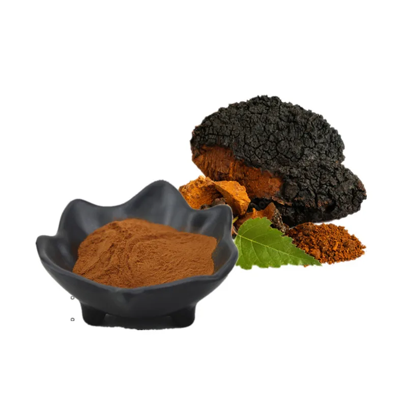 Hot sale EU/USDA certified organic chaga extract powder 30% polysaccharides fruit body