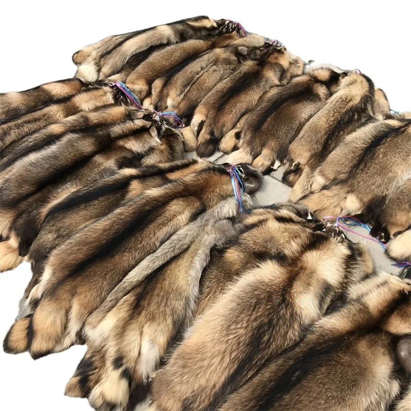 Animal fur pelts real Raccoon dog fur skins high quality Chinese raccoon skin fur