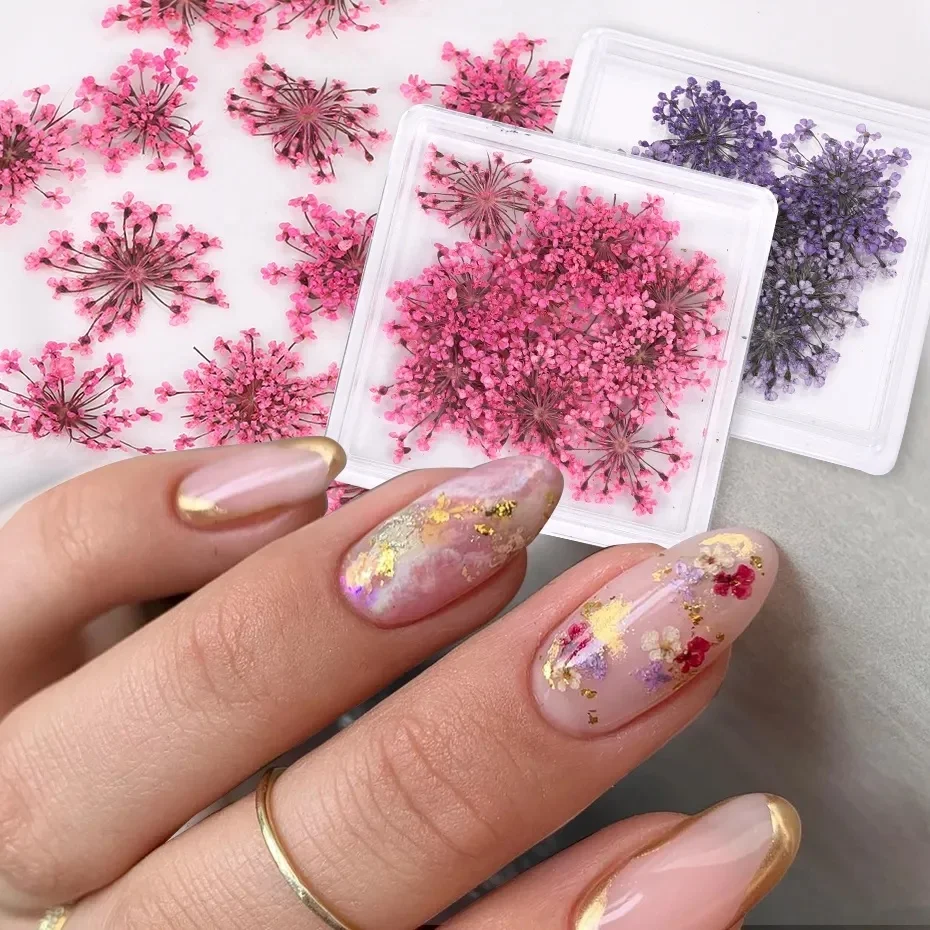 3D Real Dried Flowers Nail Art Decoration Lace Petal Design Natural Pressed Floral Charm Plant Jewelry Nail Decorations