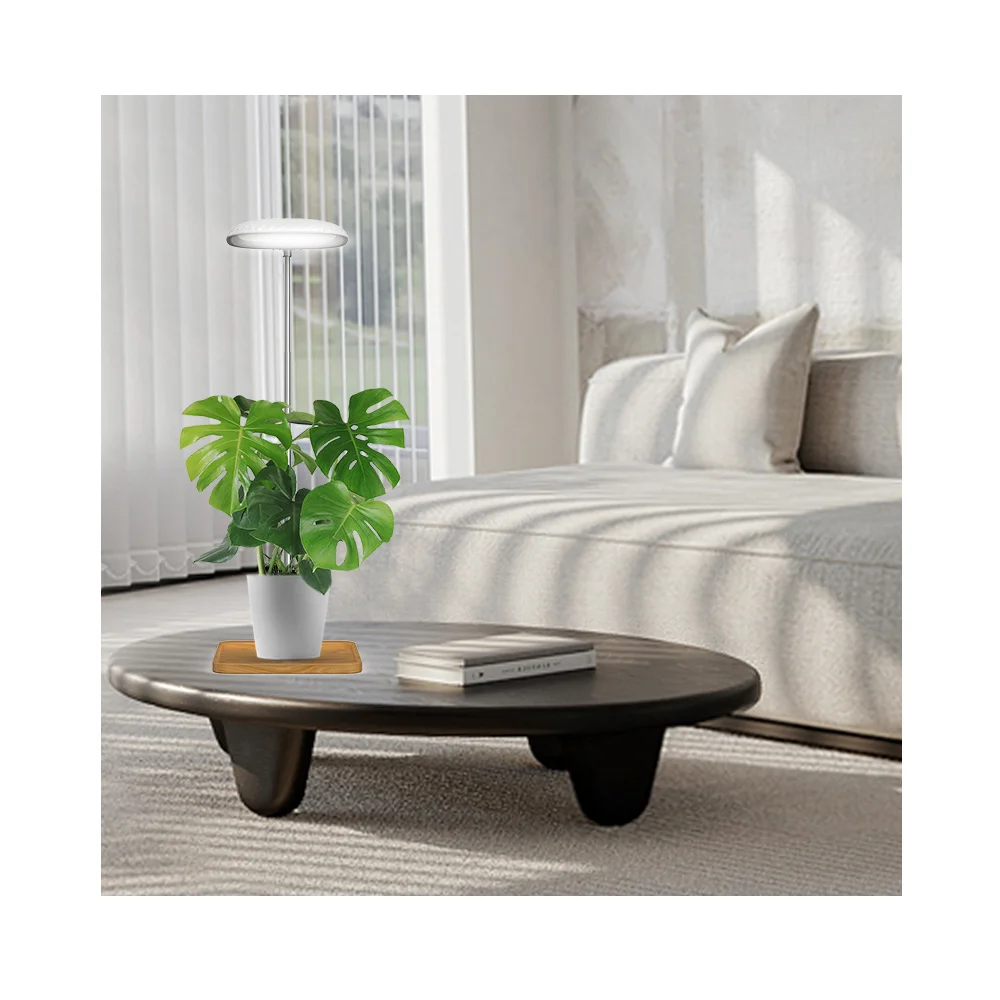 Minigarden with Bamboo Pallet USB Indoor Herb Garden Kit grow light with CE ROHS Certification as gift