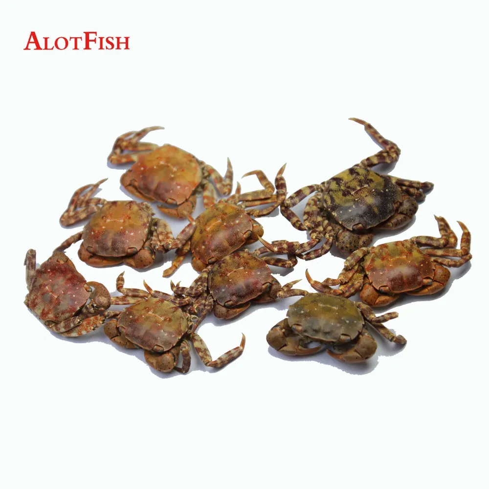 Fish Bait Freeze Dried Sand Crab Fishing Bait