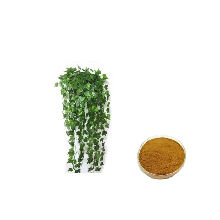 China Supply Hedera helix Extract 5% Hederacoside C Ivy Leaf Extract