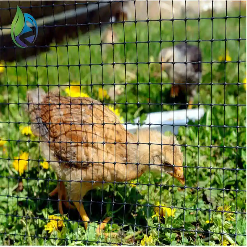 Plastic Geonet Hard Plastic Flat Mesh Net Plain Mesh Netting HDPE for Poultry Farming