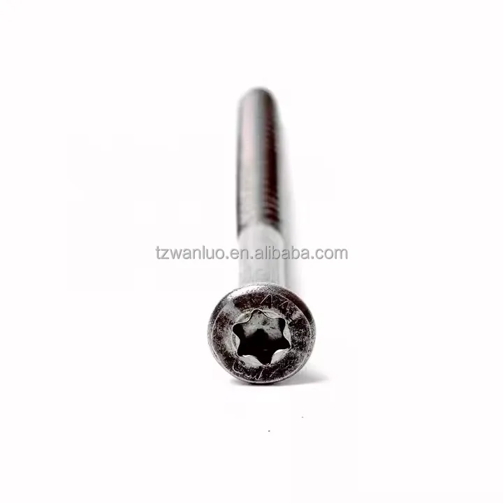 OEM professional big size SS304 SS316 torx head stainless steel A2/A4 concrete screws for solar Mounting