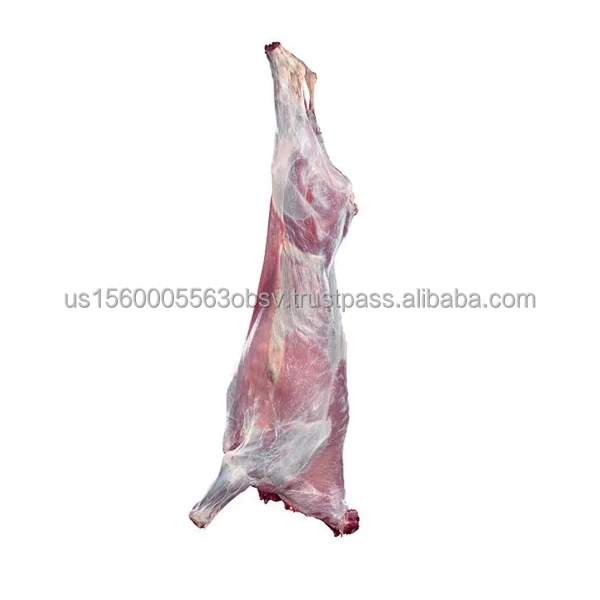 Frozen beef carcass wholesale prices Best beef carcass prices