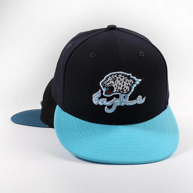 Customised Logo Flat Brim Gorras Snap back Caps Wholesale Two Color 6 Panel Hip Hop Basketball Fitted Snapback Hat Cap