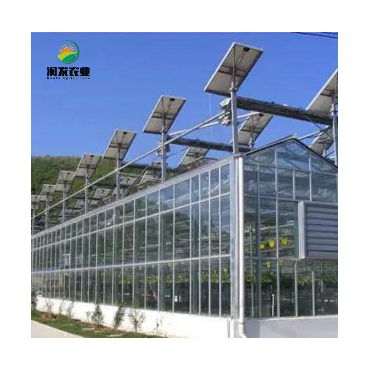 Hydroponic Venlo Glass Energy Drive Photovoltaic Panel in-solar greenhouses