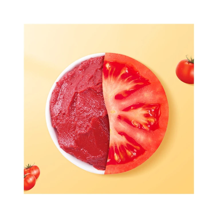 Factory price tomato paste 210 gram with high fresh quality nature red color good taste without additive