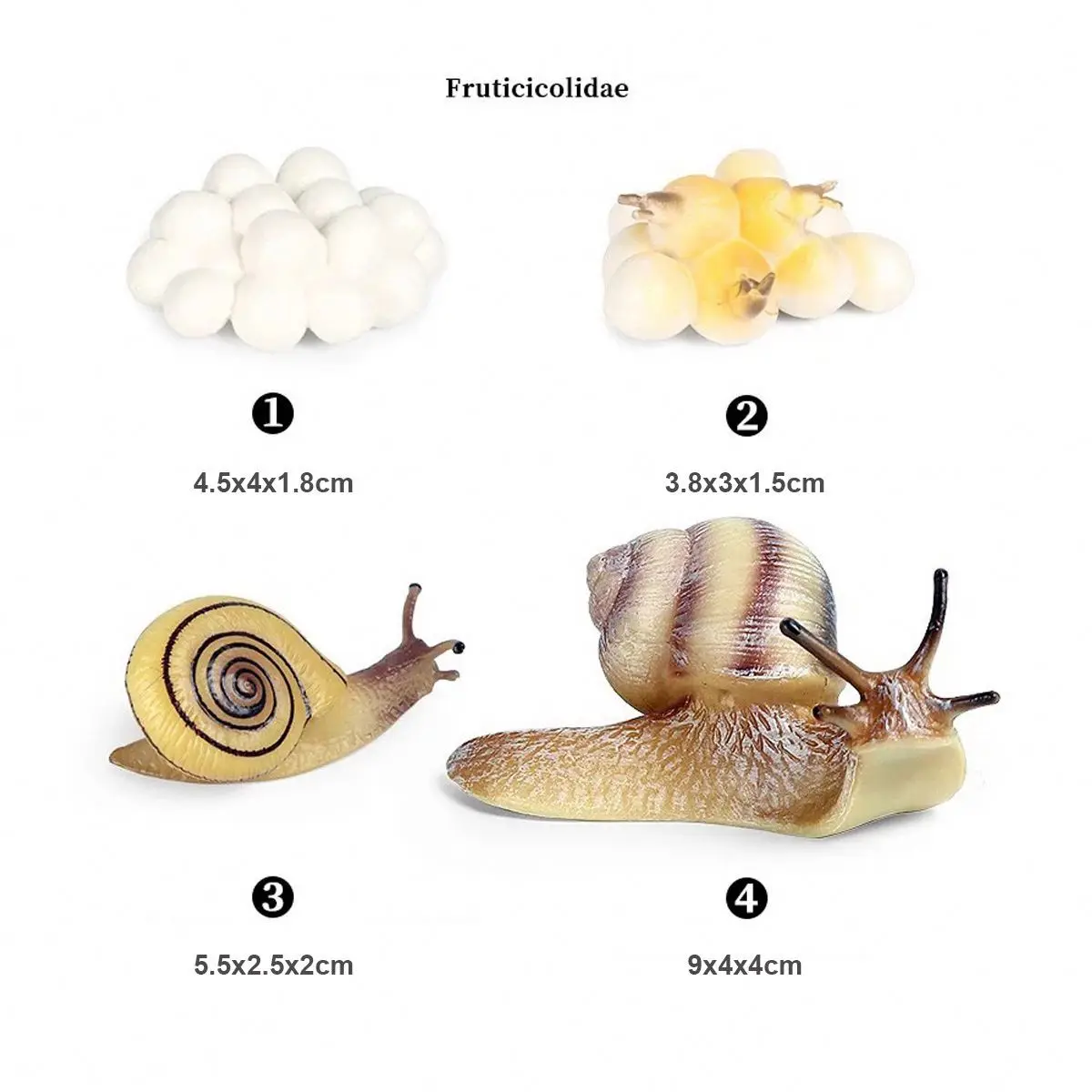 montessori life cycle toy lifelike insect animal figurines education life cycle figurines toy