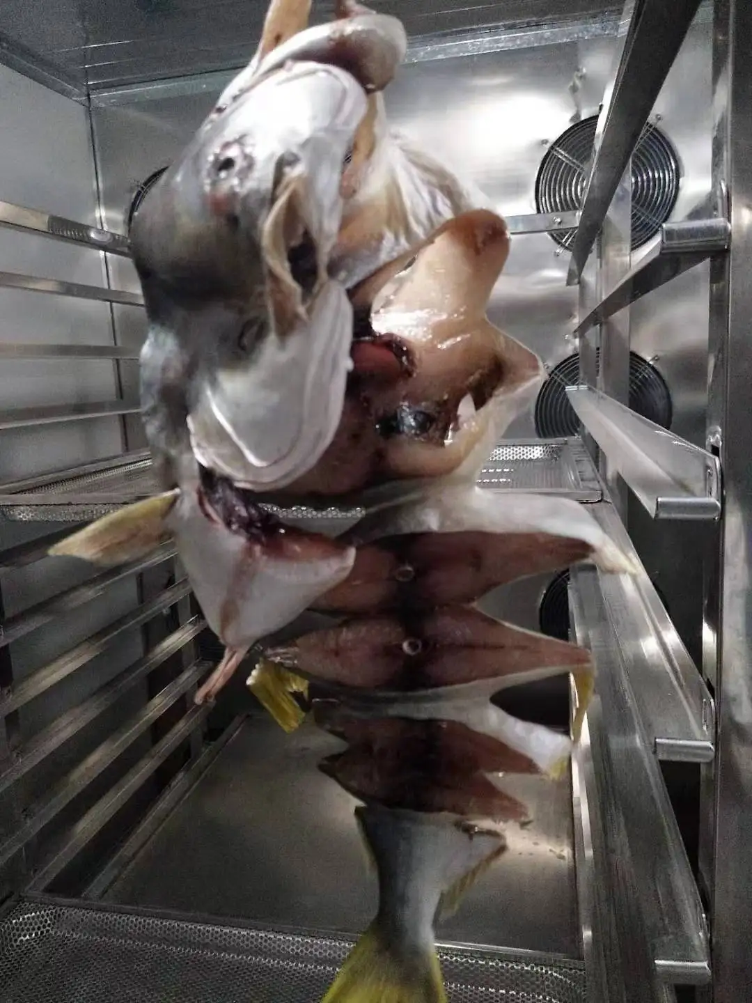 MEIYA Heat Pump industrial cold air Fish Maw Dryer Meat Dry Machine Drying Equipment Meat Dehydrator beef jerky dryer