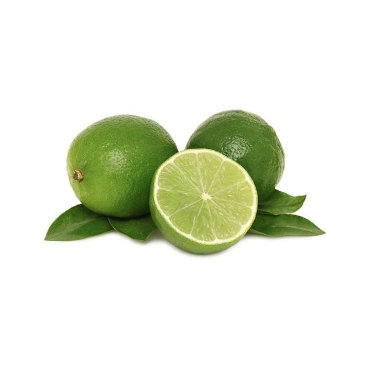 Wholesale Lime Top Agricultural Lime The COMMON Green Lime Have Great Grade Made In Vietnam With 90% Maturity Green