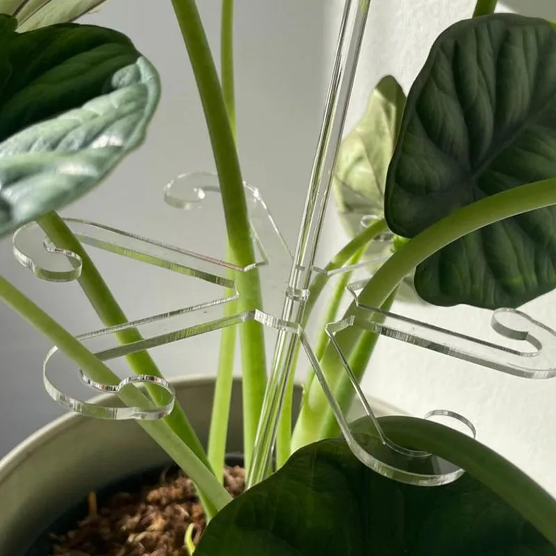 Acrylic Plant Stem (4).jpg