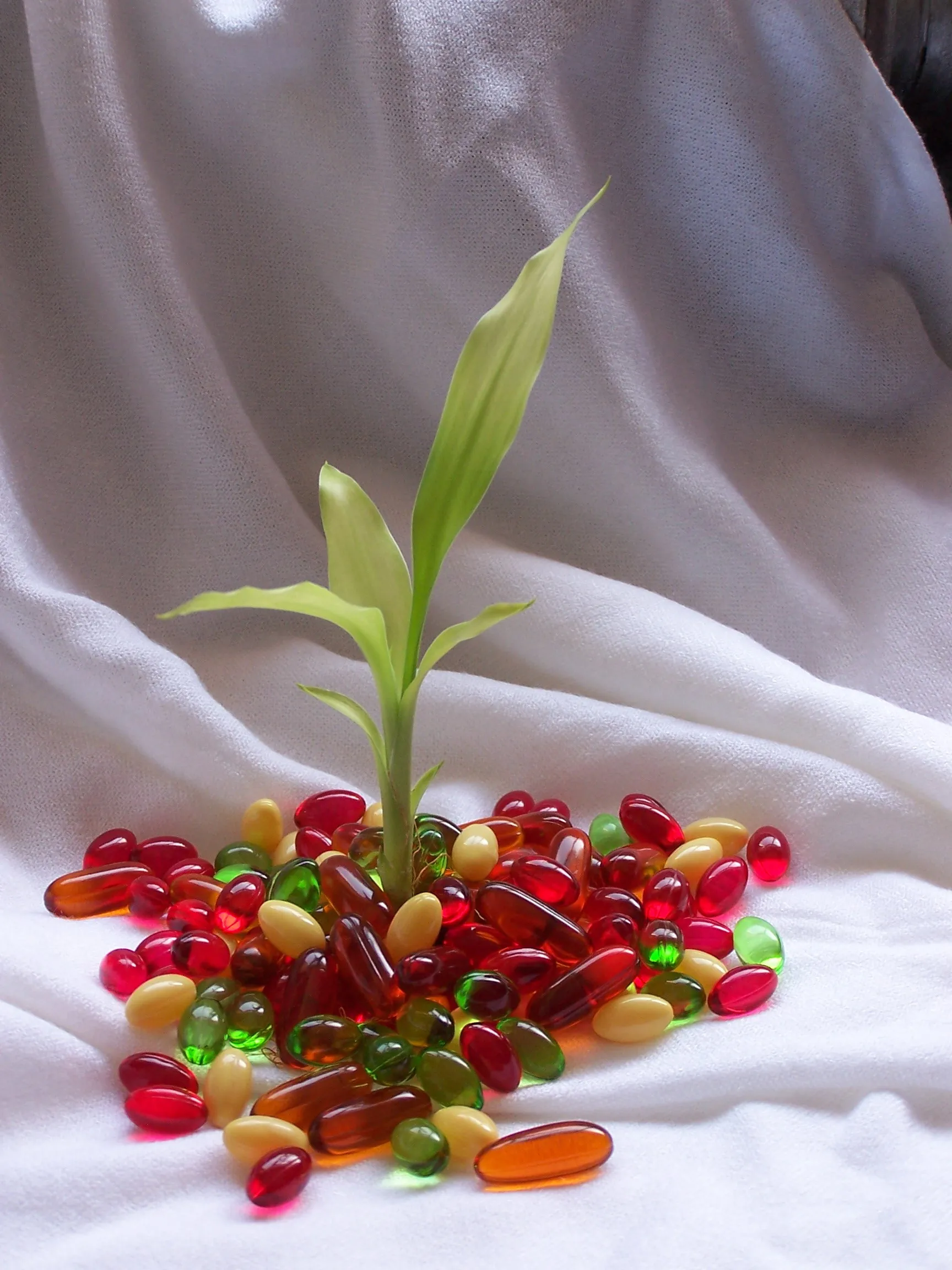 dietary supplement Co Q10 Softgel with co Q10 100mg