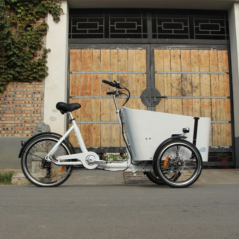 Electric Adult Tricycle Pedal Assist Cargo Bike 3 Wheels Kids Shopping Bicycle Customized Type with front cargo box