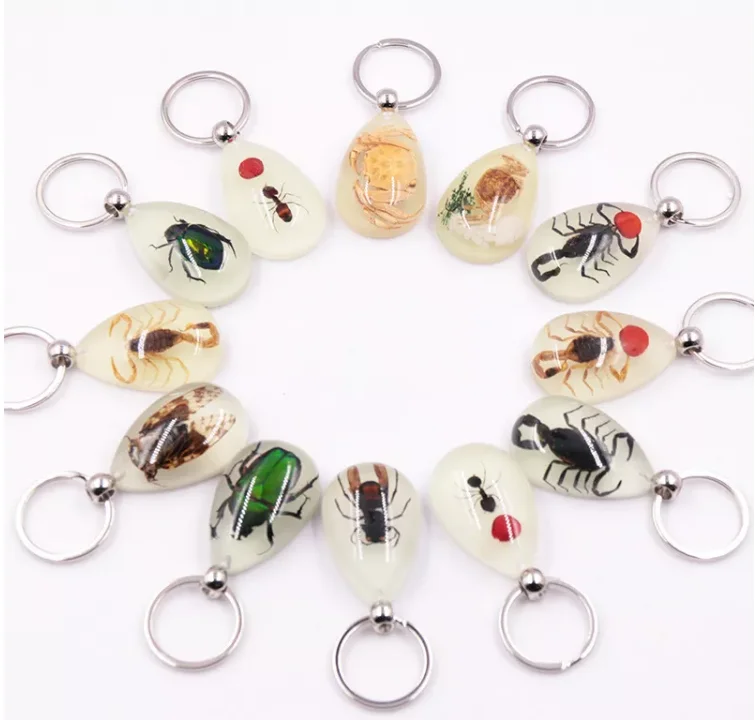 Transparent Acrylic cube block resin display with real insect paperweight animal specimen