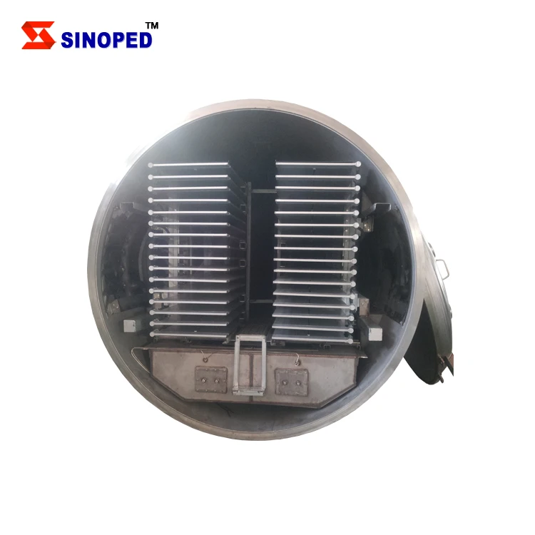 50kg Fruit Vegetable Meat Durain Mango Vacuum Freeze Dryer Dehydration Equipment