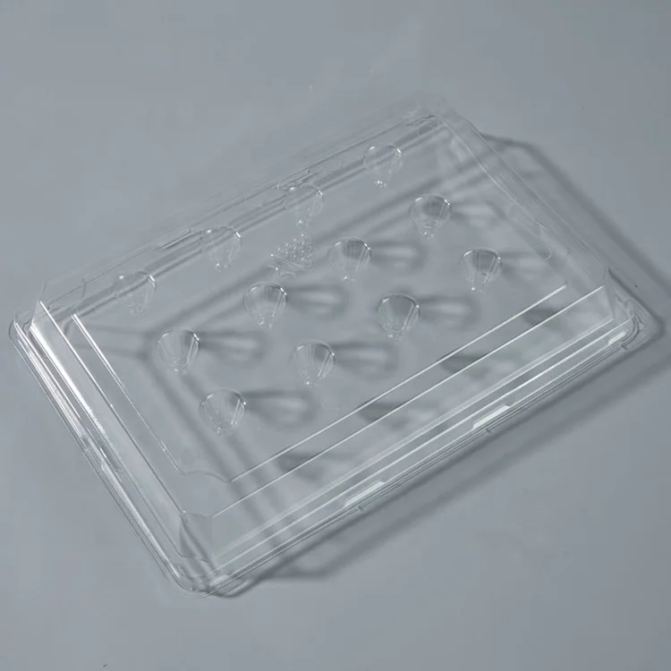 RPET Disposable Plastic Fruit Punnet Blueberries Strawberries Packaging Clamshell Transparent Fruit Packaging Box