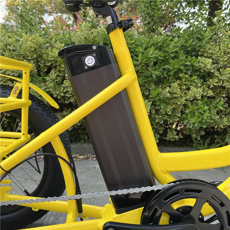 OEM China manufacturer 3 wheel electric bike 500w 750w electric tricycle for elder electric trike for old people