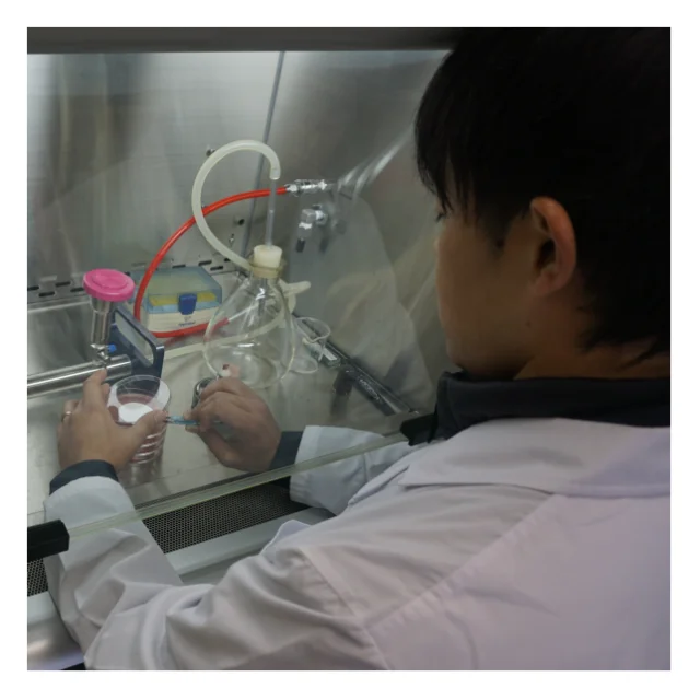 Water-Ballast Treatment System, BWTS for Pumping Ship