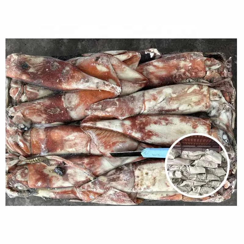 New Arrival Calamari Dosidicus Gigas 10-12 Piece Frozen Giant Squid