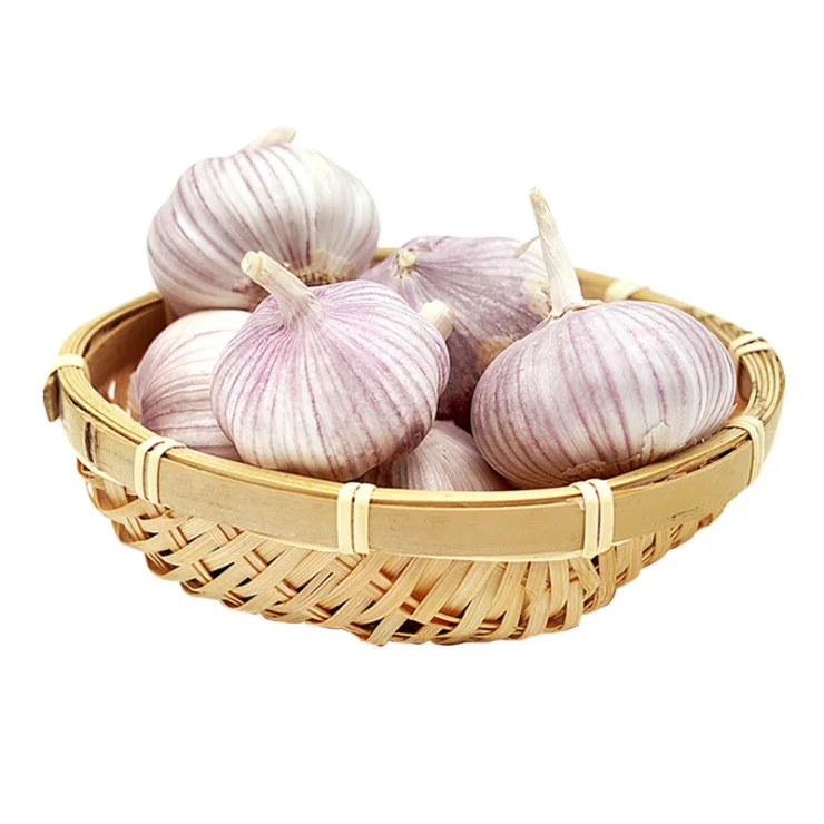 2020 new crop Chinese fresh hot selling chinese 3p pure white garlic china exporters with best price
