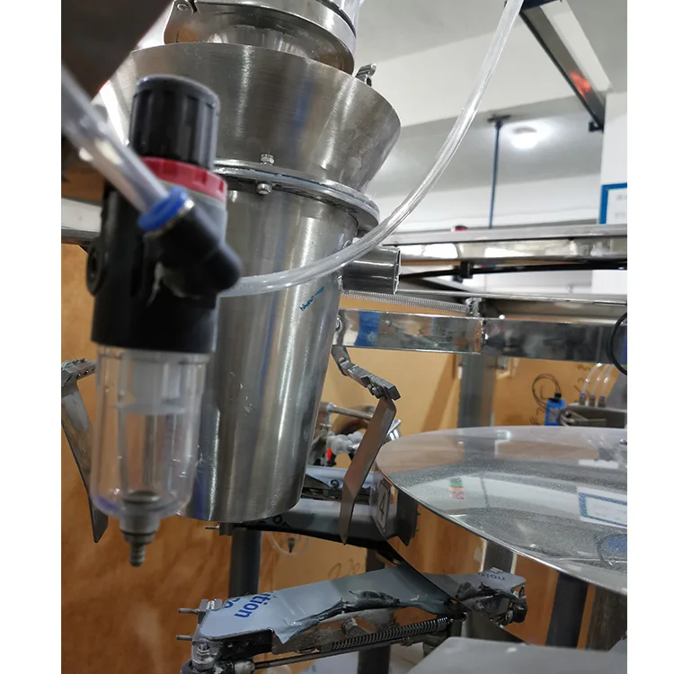 Fully Automatic Horizontal Packaging Premade Pouch Cherry Tomato doypack Packing Machine