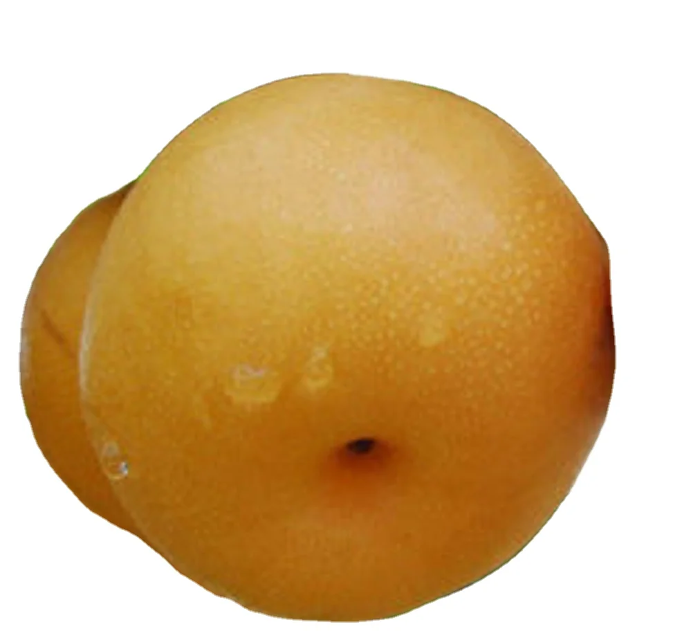 fresh Chinese Ya pear sweet Golden pear fresh Singo pear