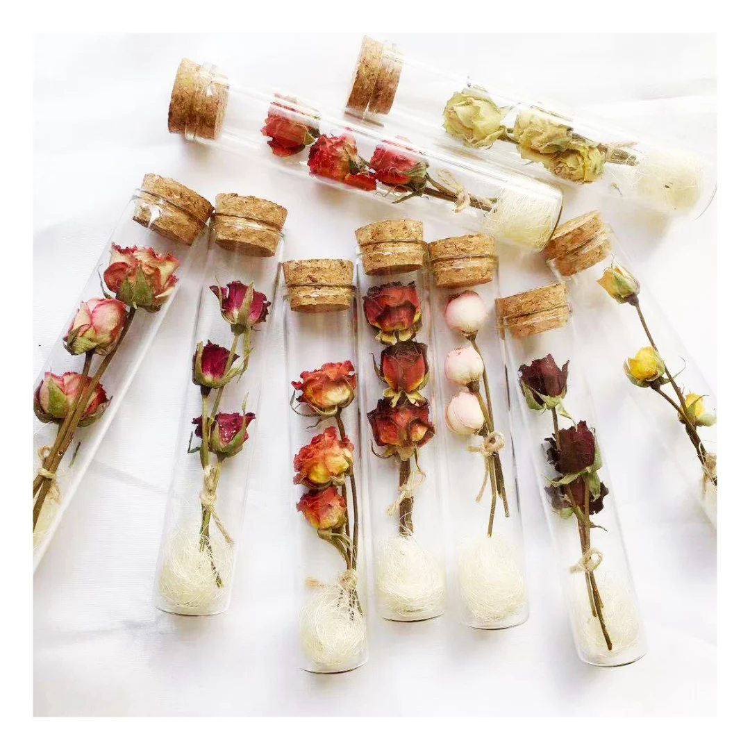 
Wholesale Decorative Flower Rose Jar Dried Rose for Home Decoration 