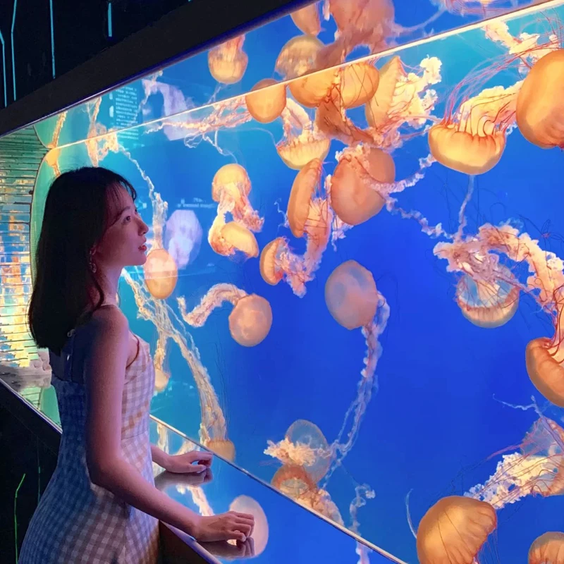 Commercial Venue Custom Luxury Modern Design Square Cylindrical Clear Acrylic Fish Tank Aquarium