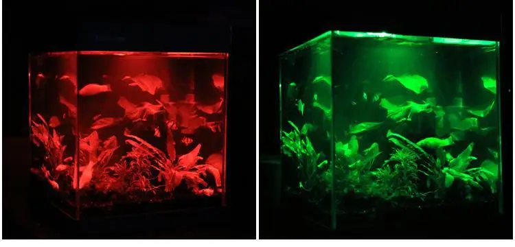 sunsun small 300 gallon aquarium for sale