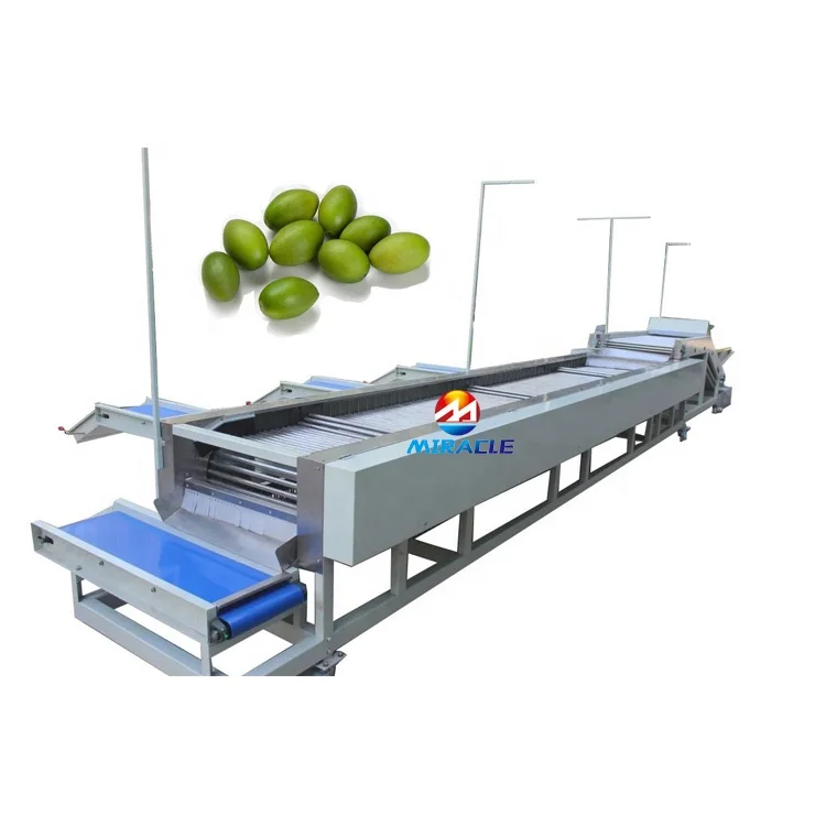 5 grading sweet potato avocado sorting machine tomato sorting machine