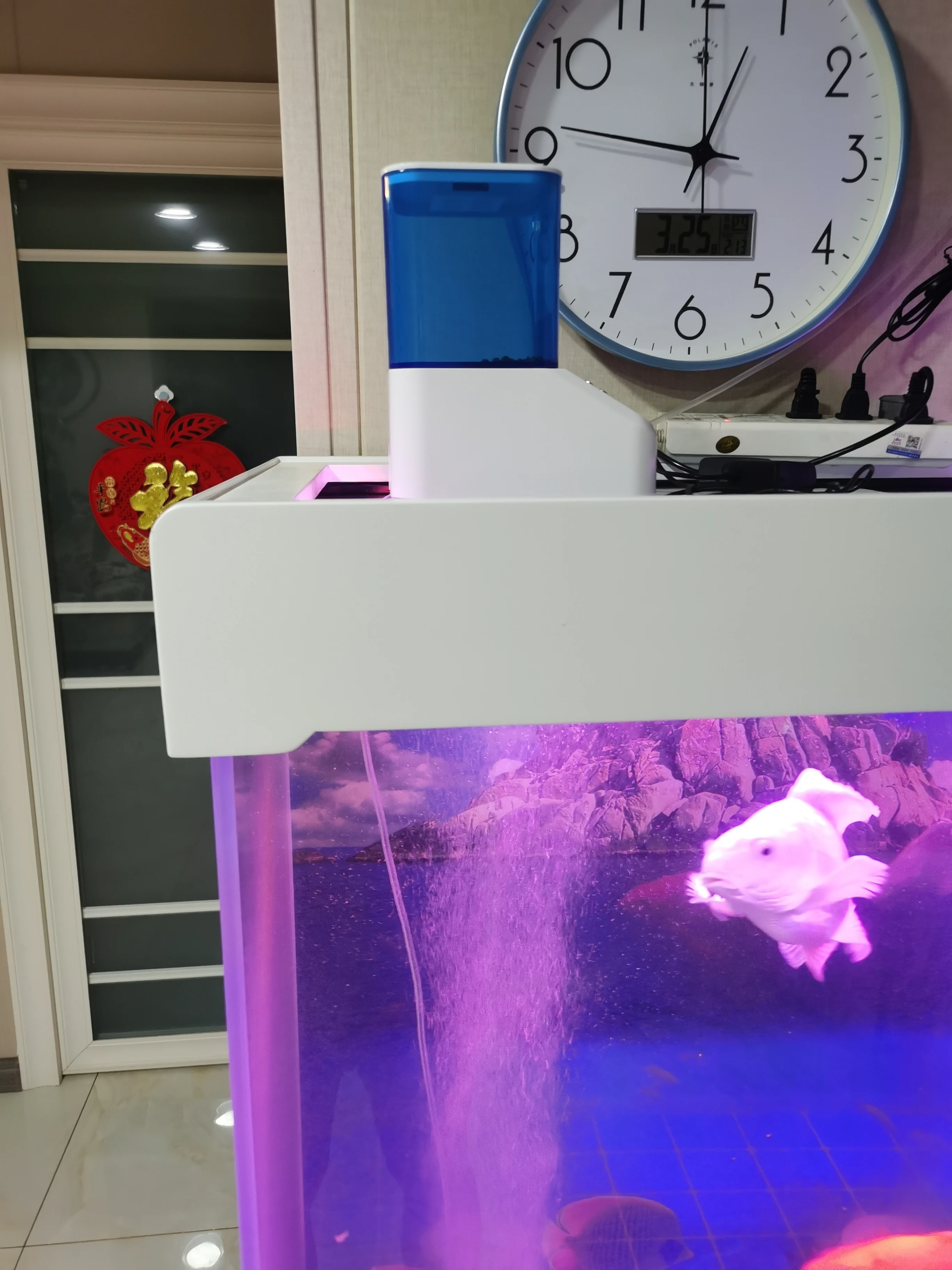 High performance timed feeder  latest wholesale automatic timed fish feeders