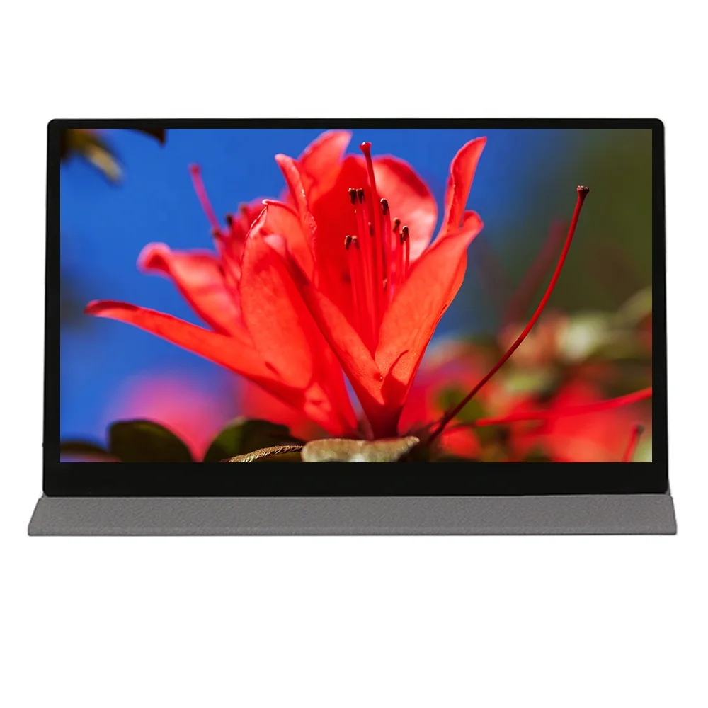 Hot Selling LCD Monitor Display PC 15.6 inch Capacitive FHD HDR1080P Screen portable monitor OEM monitor USB-A Type-C