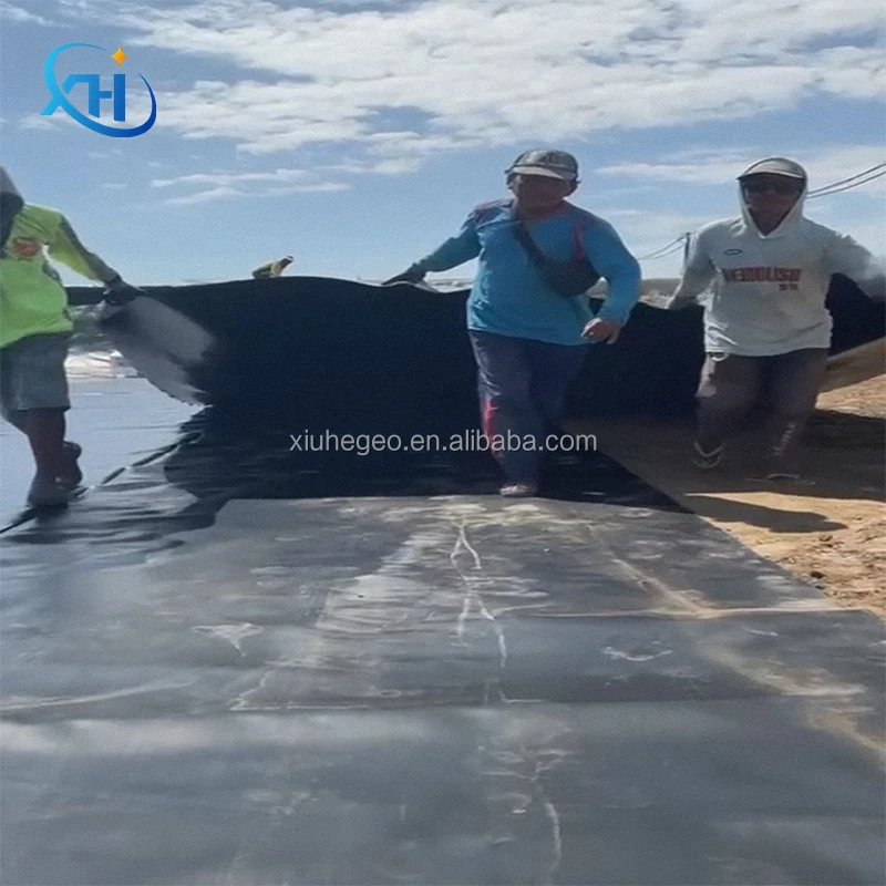 1 мм 2 3 геомембраны HDPE лайнер заводская цена рыбоводная ферма Креветочный пруд свалка искусственное озеро геомембранный