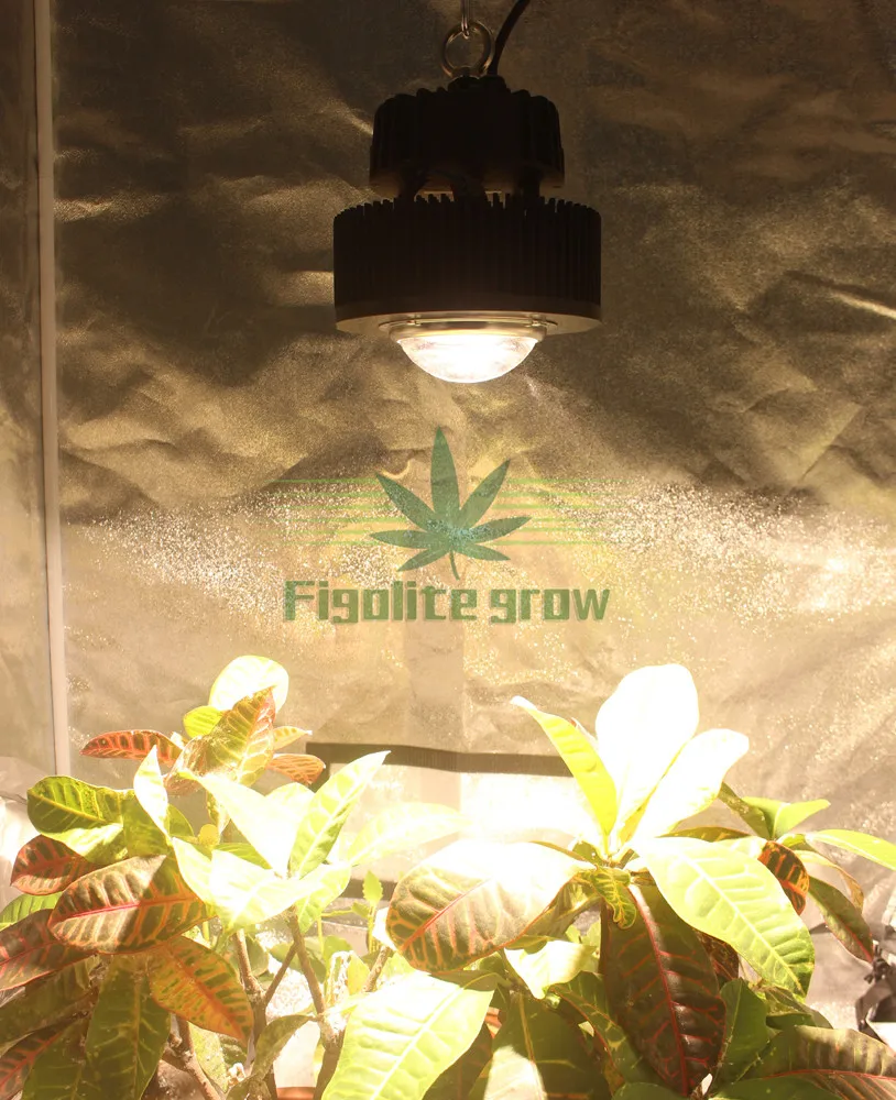 Full spectrum 100w COB CXB3590 LED grow light Meanwell dimmable driver HBG-100-36B