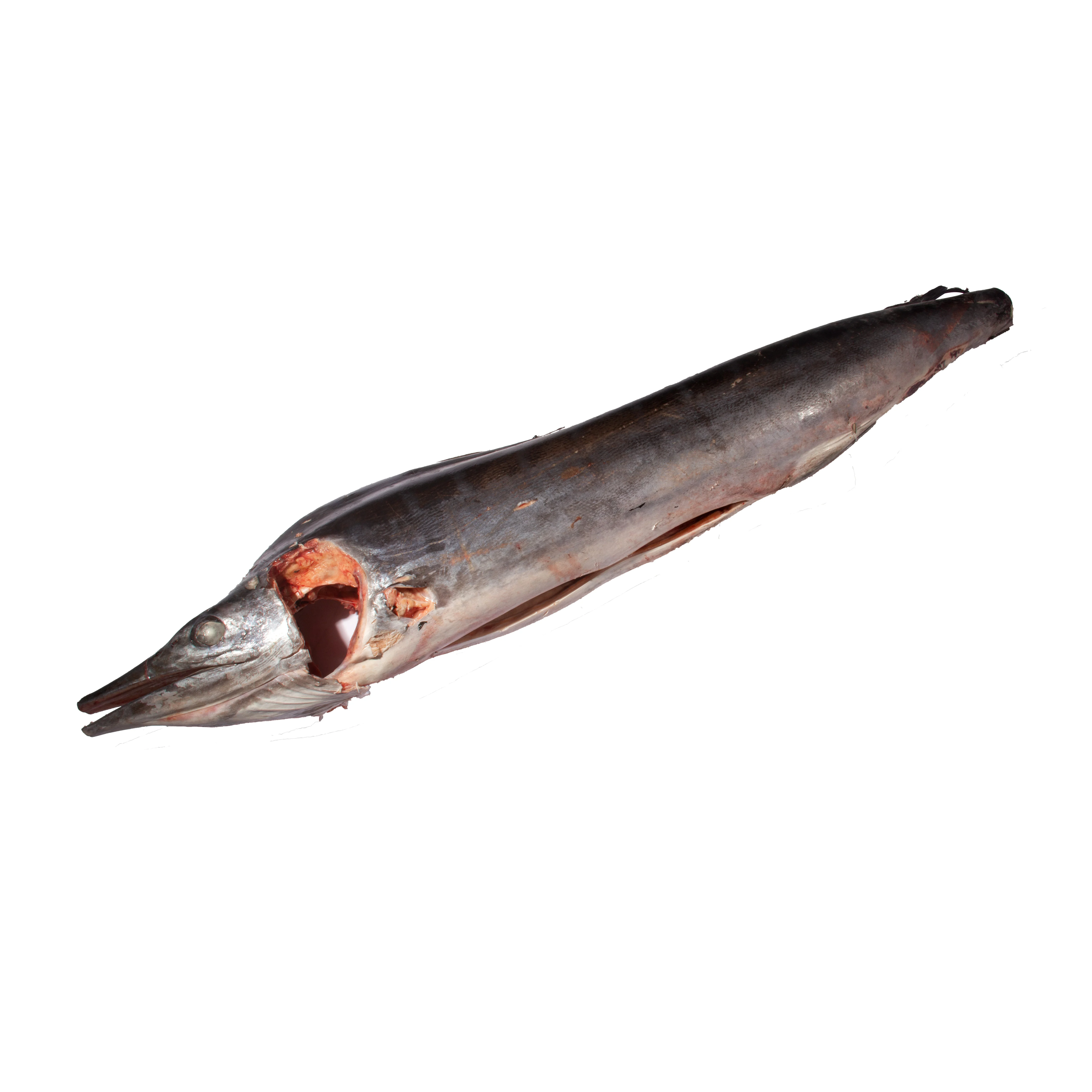 Fengsheng Super Frozen Seafood Red Marlin Striped Marlin Fish