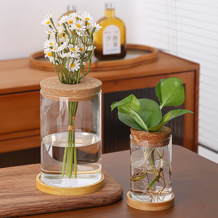 Custom 500ml Glass Terrarium Vase Propagation Vase Containers with Cork Wooden Saucer for Hydroponic Plants Tabletop Decoration