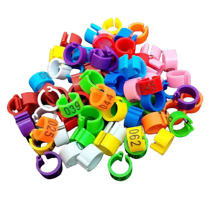 Customized 8mm Plastic Pigeon Leg Band Colorful Foot Ring for Love Birds Identification Pets Usage