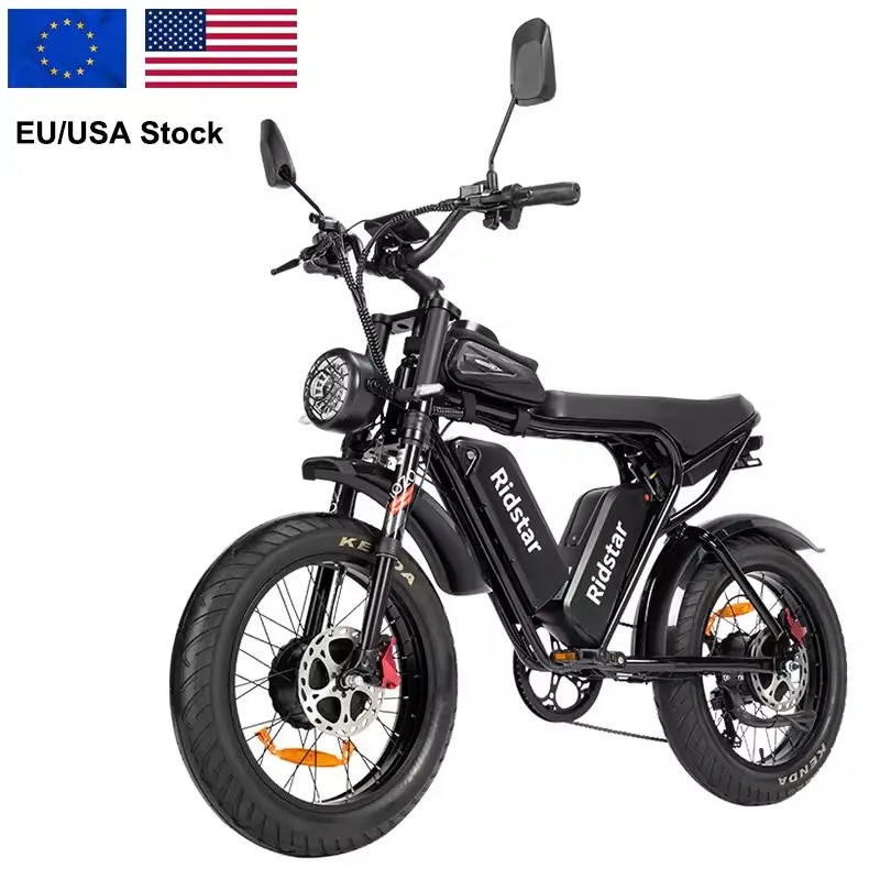 ridstar q20 pro 1000w 2000w 2000watt q20pro electric bike 20 double battery dual motor 2 seater eu warehause upgrade ebike
