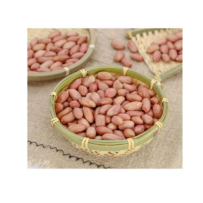 Organic Nutritious Red Skin Peanut Egypt Origin Top Grade Peanut Kernel Rich Protein