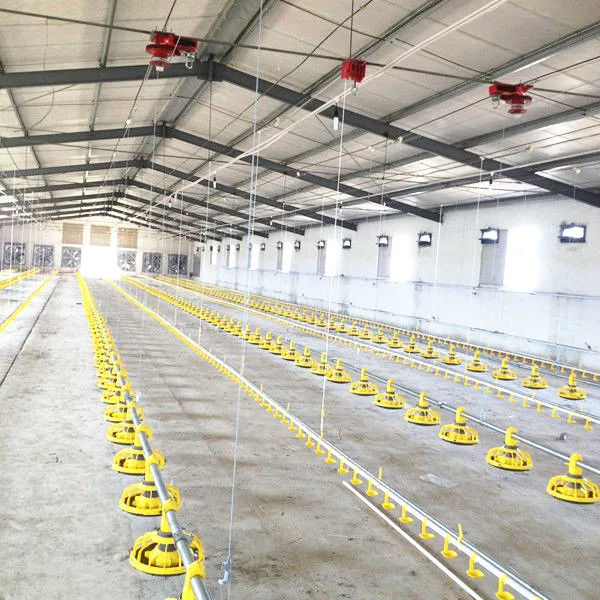 Low Structure Frame Poultry Farm Building Chicken House Shed In Malaysia